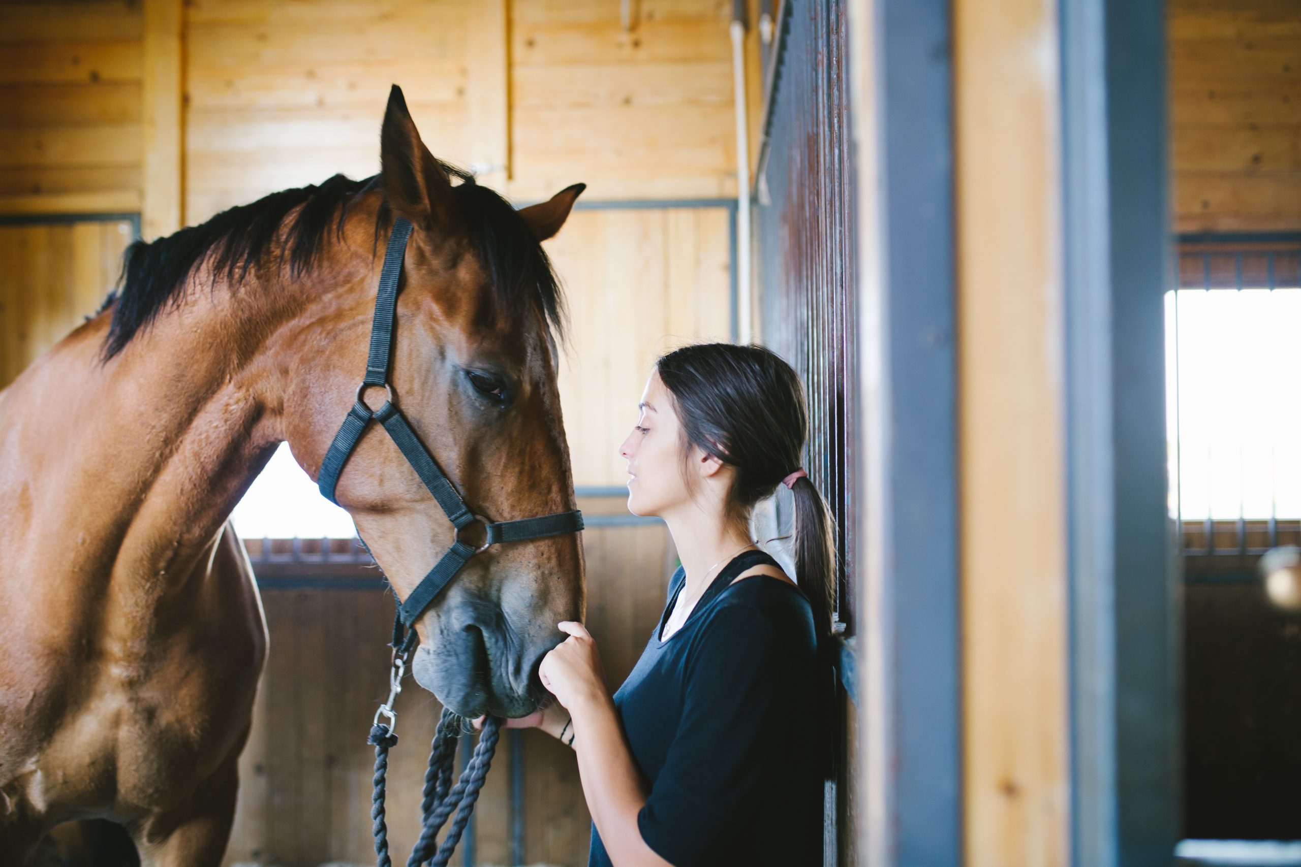 cours d'équitation sollies pont